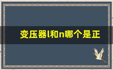 变压器l和n哪个是正负极,正极负极英文L N